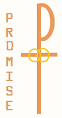 Wedding Rings and Promise
